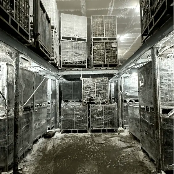 Cold storage room